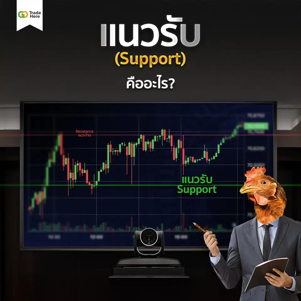 แนวรับ (Support) คืออะไร? แนวรับ (Support) คืออะไร?