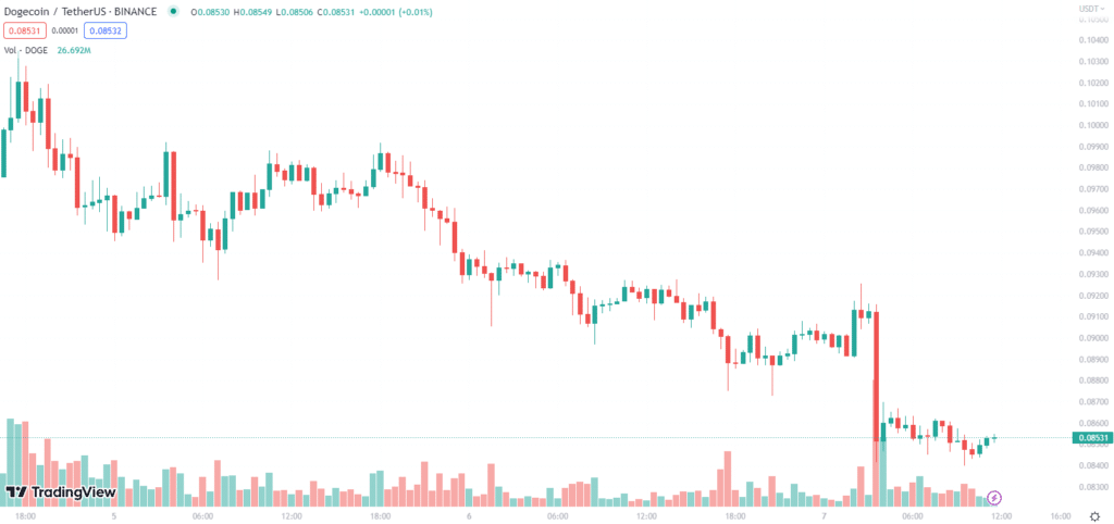 dogecoin dogecoin
