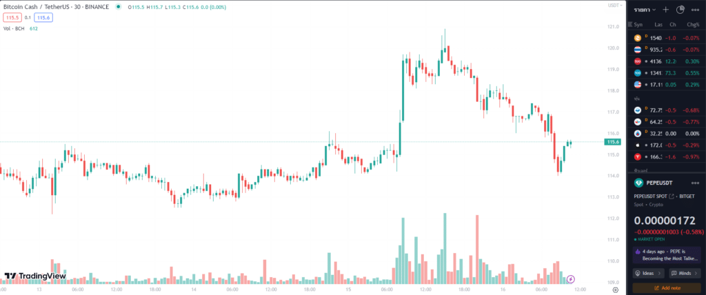 bitcoin-cash bitcoin cash