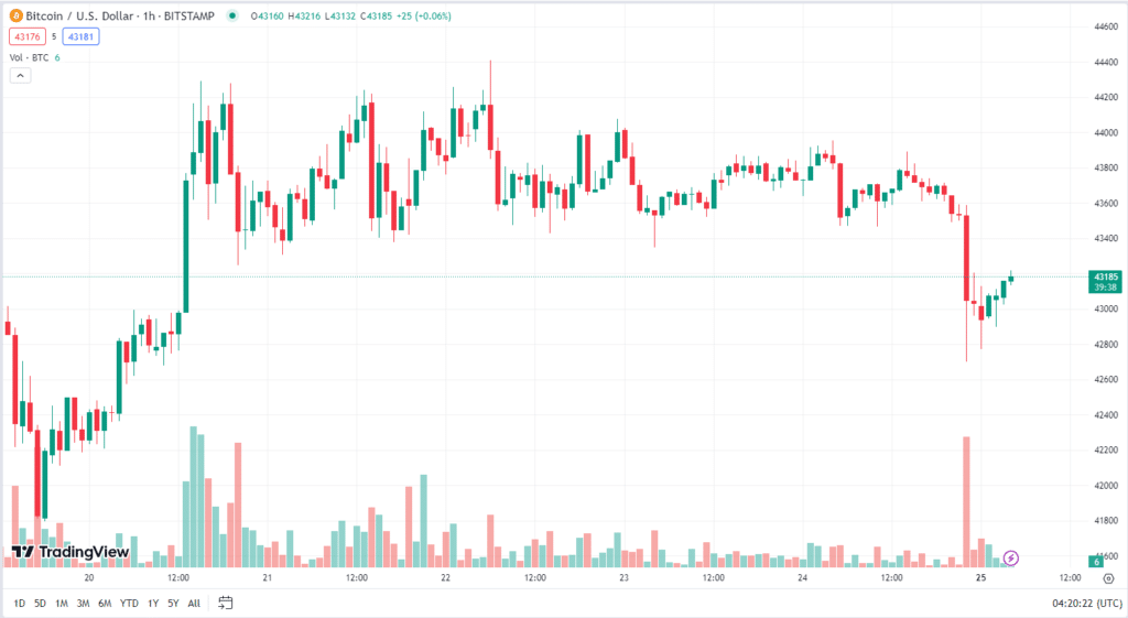 bitcoin-2 bitcoin