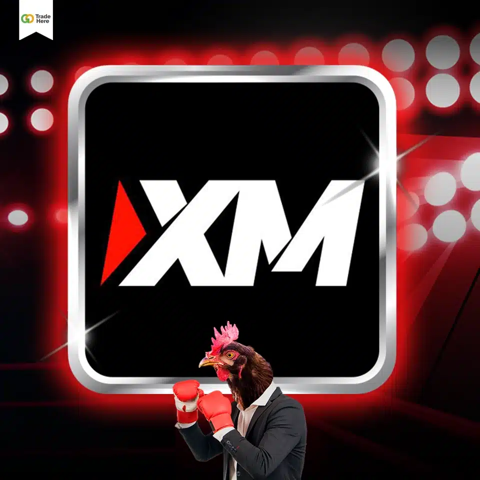 แนะนำภาพรวมโบรกเกอร์ XM แนะนำภาพรวมโบรกเกอร์ XM