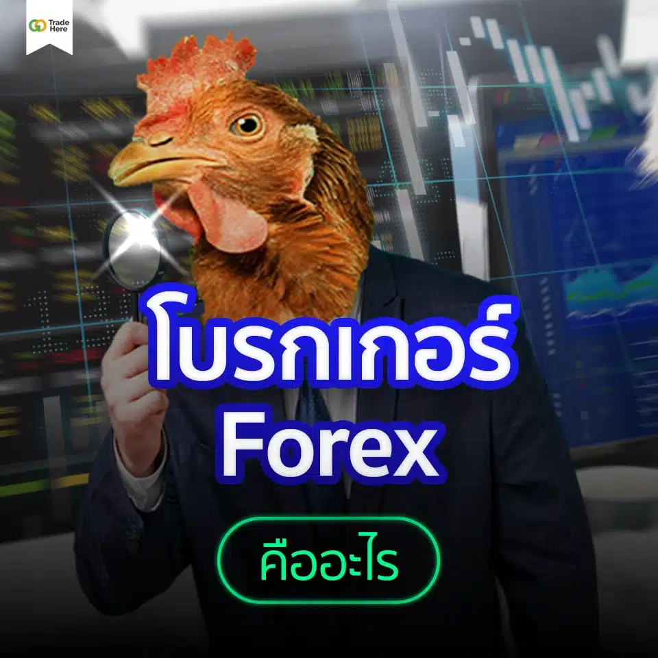 โบรกเกอร์ Forex คืออะไร โบรกเกอร์ Forex คืออะไร